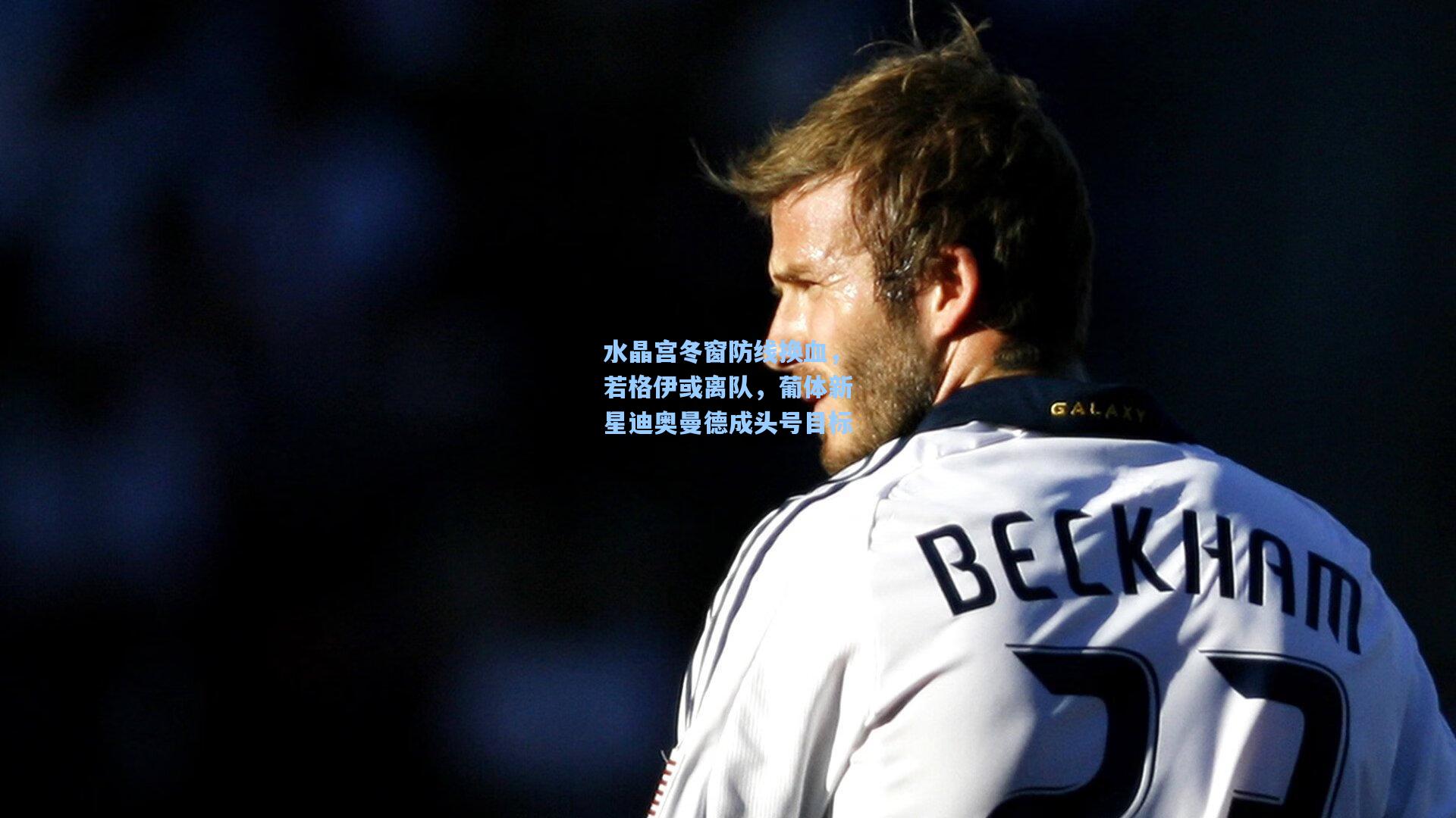 水晶宫冬窗防线换血，若格伊或离队，葡体新星迪奥曼德成头号目标